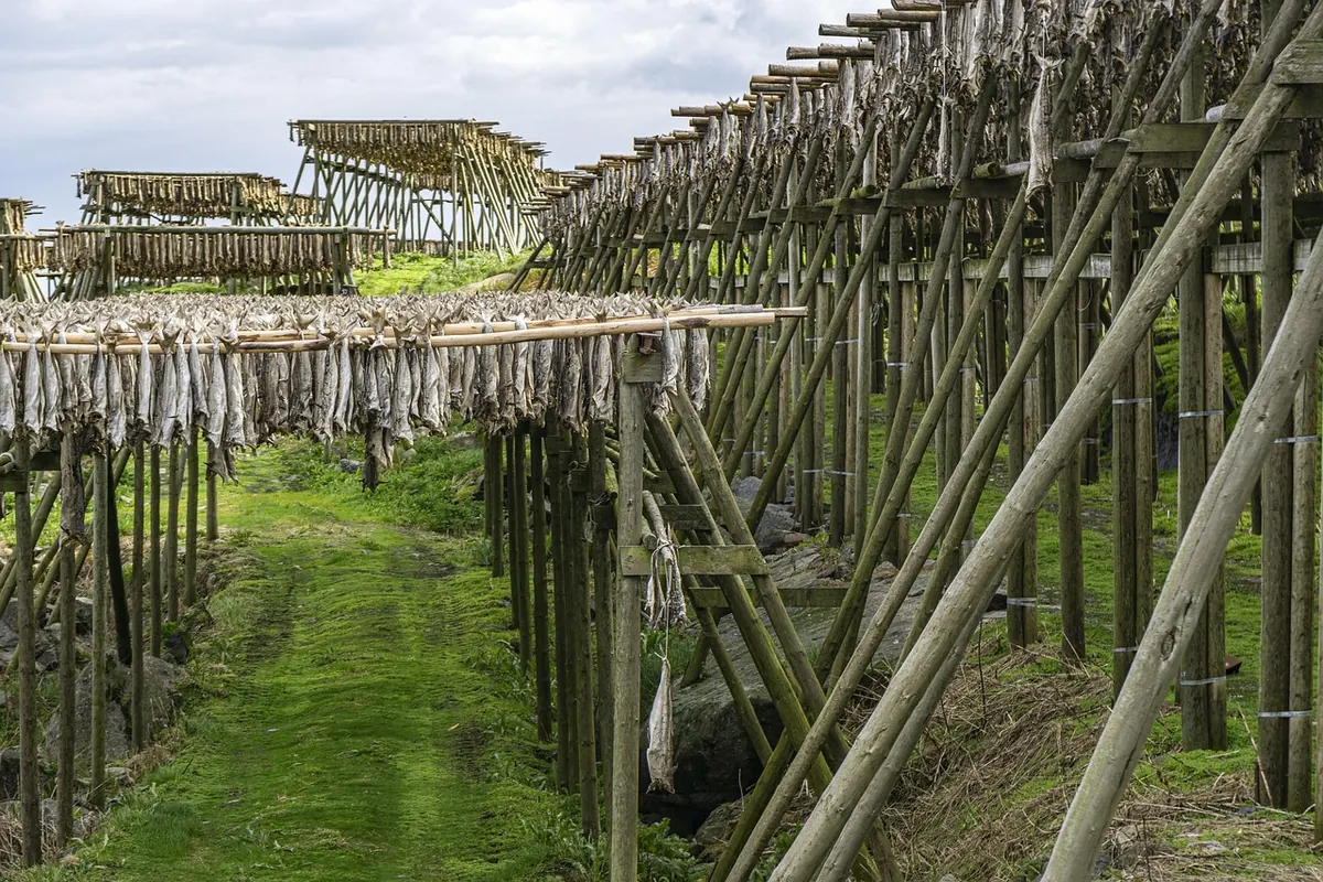 Larch Timber Drying and Storage: A UK Workshop Checklist