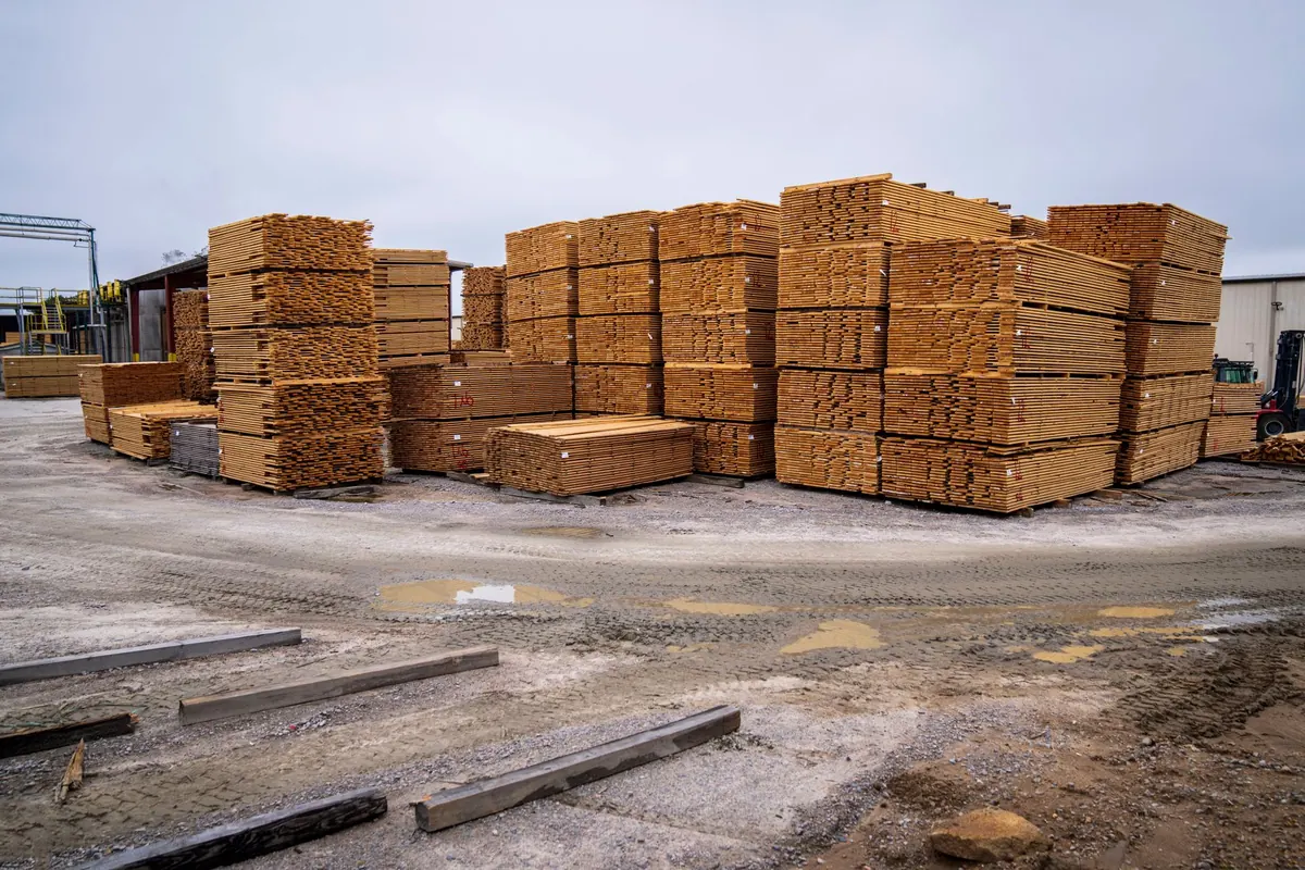 Larch Timber Grades Explained: A Buyer's Checklist