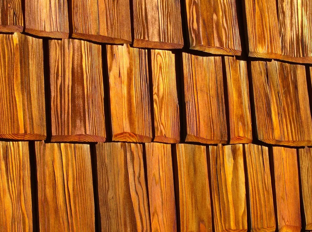 Siberian Larch vs British Larch: Which Should You Buy for UK Projects?